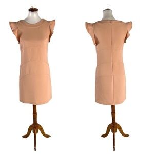 3/$25 Ann Taylor Ruffle Sleeve Shift Dress Size 0